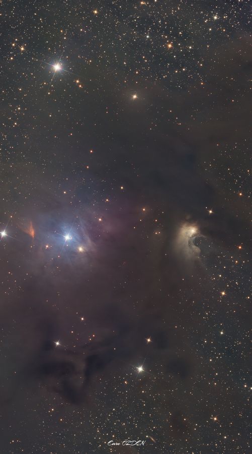 Bernes 142 — Bukalemun Bulutu (dikey)