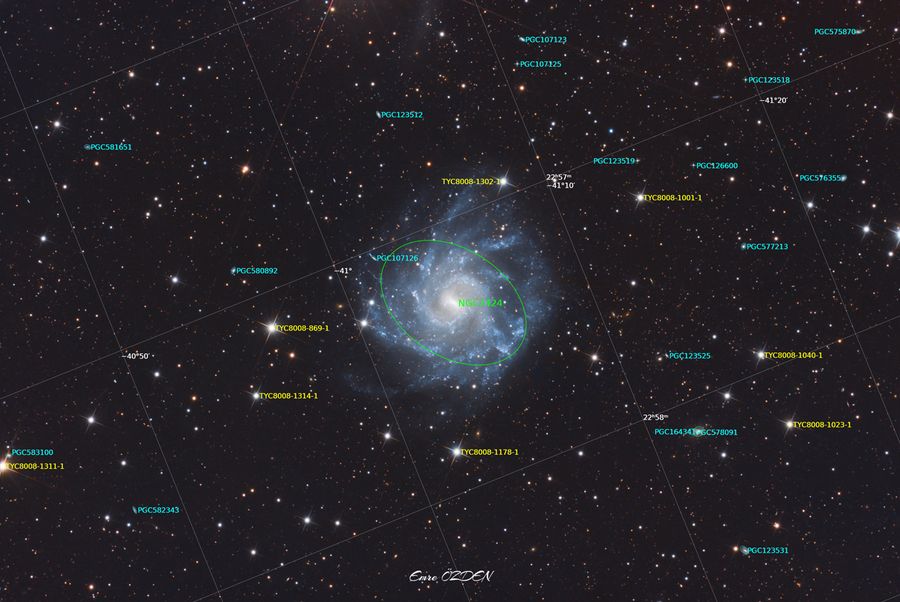 NGC 7424 — Turna'da Bir Sarmal (açıklamalı)